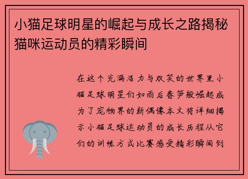 小猫足球明星的崛起与成长之路揭秘猫咪运动员的精彩瞬间